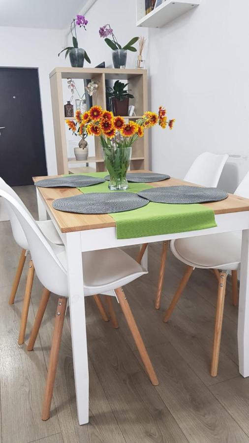 Apartament Karina Năvodari Eksteriør bilde